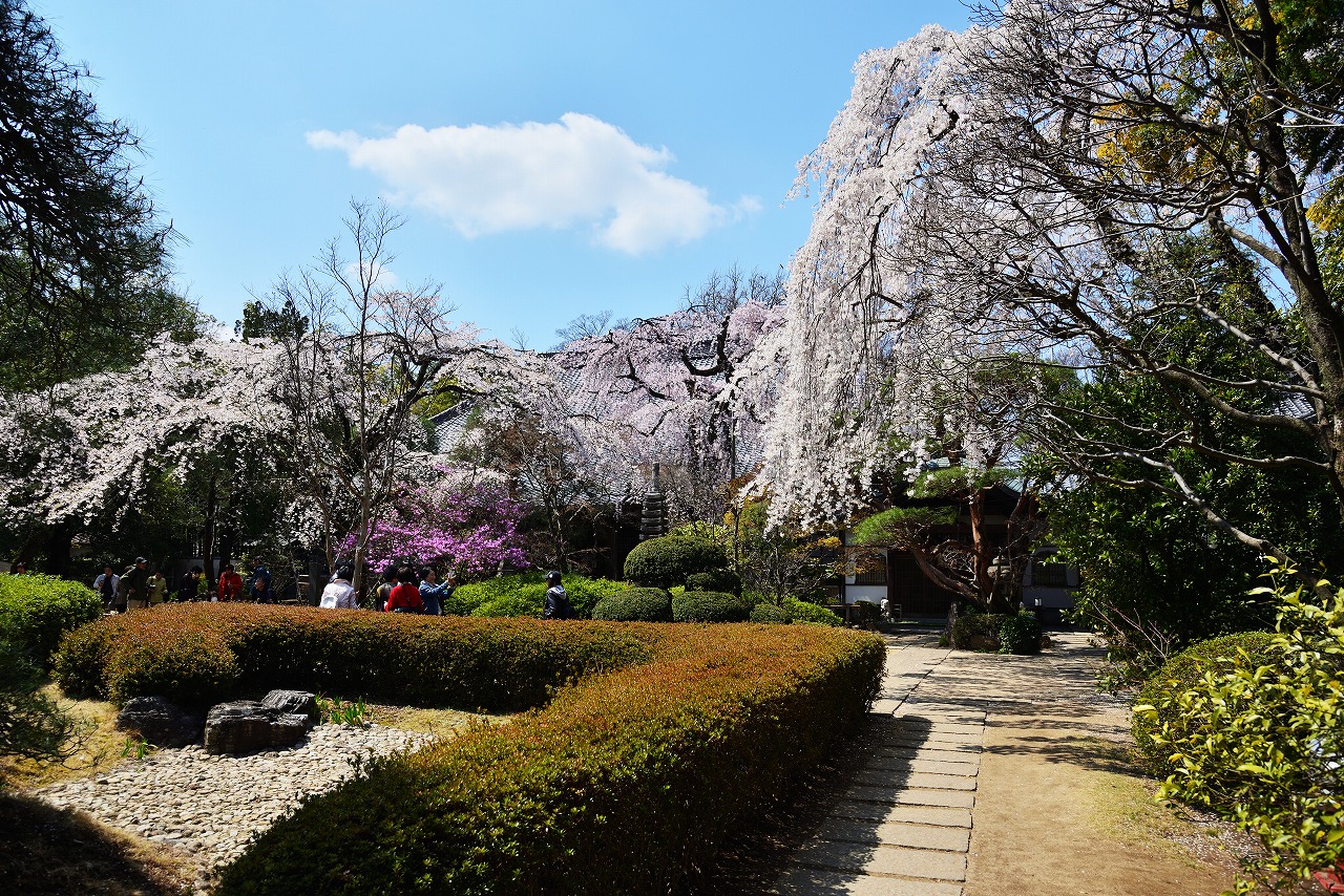 川越　天台宗別格本山 星野山 中院　庭園